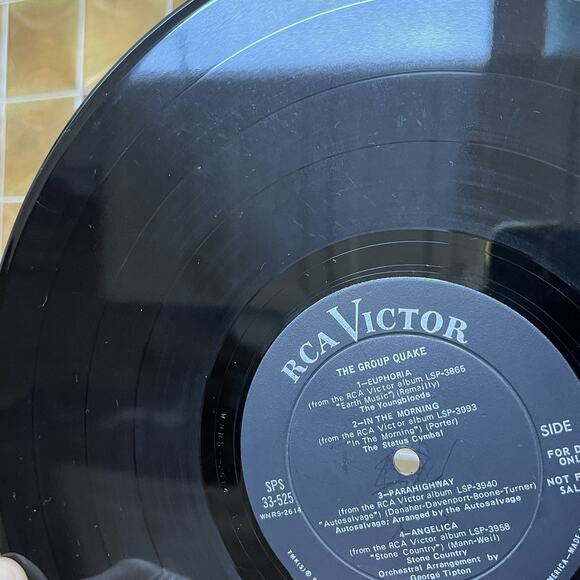 The Group Quake Compilation Vinyl LP 1968 RCA Victor SPS 33-525 Promo - Picture 5 of 16